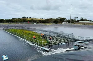 floating wetlands