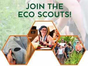 eco scouts mckeesport