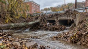 Washington stream cleanup