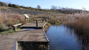 environmental education grants