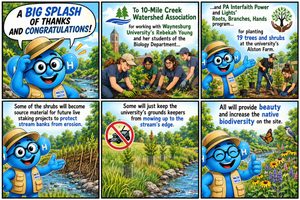 walter_blg_splash